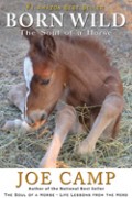 Born Wild - The Journey Continues