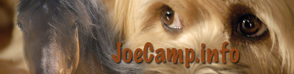 joecampinfo
